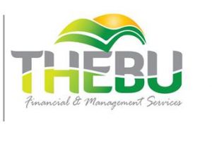 financial consulting courses johannesburg Thebu Financial and Management Services