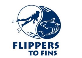 professional diving courses johannesburg Flippers to Fins Scuba Academy
