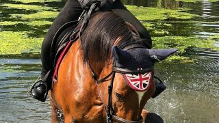 horse riding lessons johannesburg Ravenwood Stables