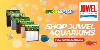 fish shops in johannesburg Jungle Aquatics