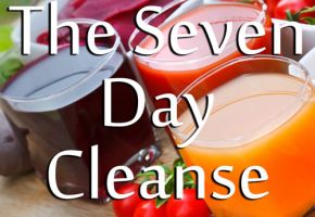 This intense 7 day cleanse is an adapted version of the original program designed by the “father” of colon hydrotherapy Dr Benard Jensen.