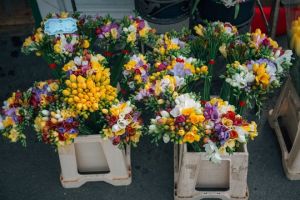 flower arrangement courses johannesburg Multiflora Flower Market