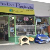 shops to buy dogs in johannesburg Pets Paraphernalia