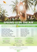 spring day spa specials promotions