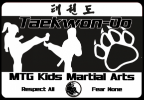 taekwondo classes in johannesburg Bedfordview Martial Arts (MTG dynamic Taekwon-Do)