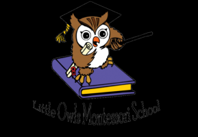 private nurseries in johannesburg Little Owls Montessori nursery school