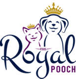 poodle toy kennels in johannesburg The Royal Pooch And Co