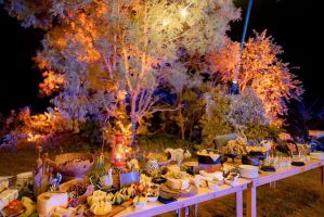 gastronomy fairs johannesburg JEM Exclusive Catering and Events