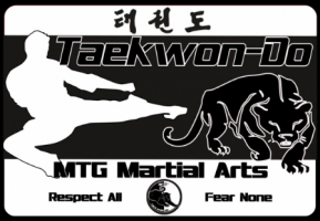 taekwondo classes in johannesburg Bedfordview Martial Arts (MTG dynamic Taekwon-Do)