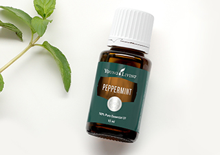 stores where to buy patchouli johannesburg Young Living South Africa
