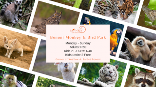 animal farms in johannesburg Benoni Monkey And Bird Park