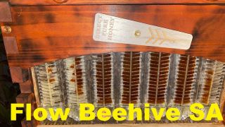 honey stores johannesburg Beehive Honey Flow bee hive South Africa