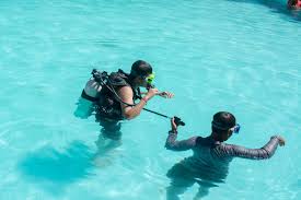 professional diving courses johannesburg Wreck & Reef Scuba Adventures