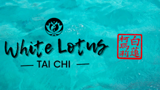 chi kung lessons johannesburg White Lotus Tai Chi